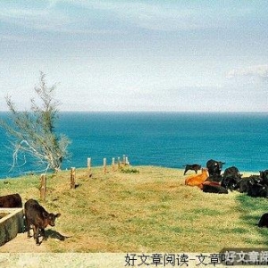 解说嫉妒的情绪