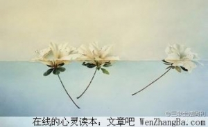 好心态，好人生