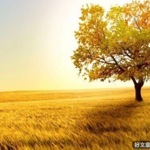 北秋悲句子大全