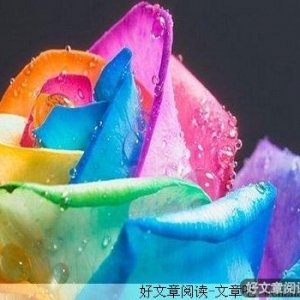 抛开杂念，轻松上阵