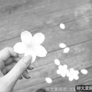 是什么磨掉了我们之间的情意