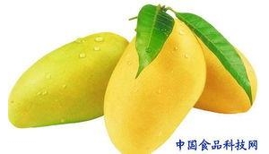 小事之中见以身作则
