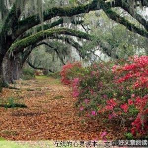 宽容别人，就是宽容自己