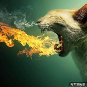 事情一团糟时应该记住的7件事