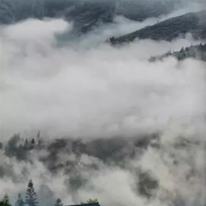 我的世界你不懂