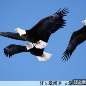 相信自己最棒