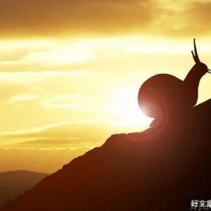 努力和不努力的人，过的是不一样的人生