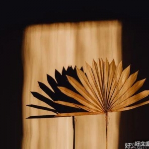 八个故事，八种智慧（看完受益一生）