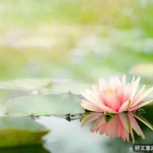 被一碗面改变的人生