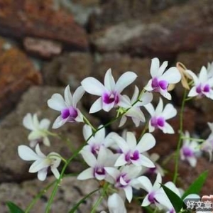与人合作，有一种美德叫“不催”