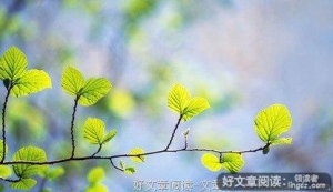 用一颗欢喜的心来对待生活