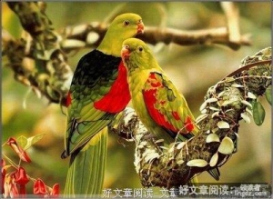 幸福人生、快乐生活三十六计