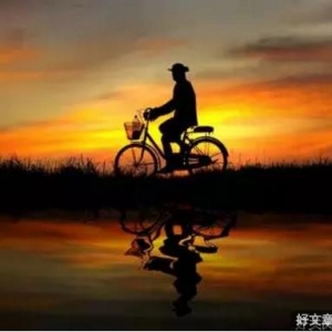 人最大的悲哀，是错把平台当本事