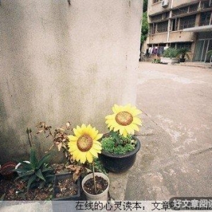 总有这么一篇文章，不经意间，写出你我的心声