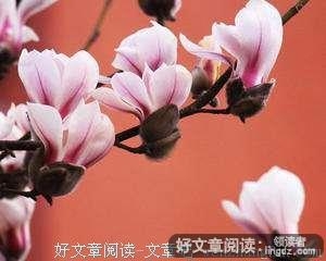 百般算计，不如一颗单纯的心（深度）