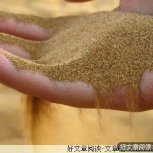 紧握不如轻捧