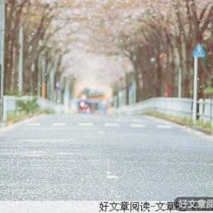 那些久住在手机中的人