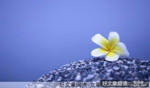 动人的一课