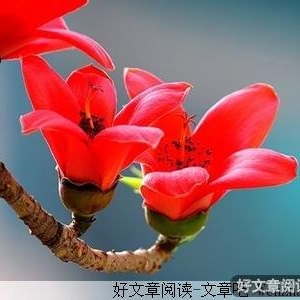 你应该知道的生存之道