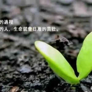 逆境 只是为了给你更好的方向