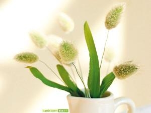 人生因承受而精彩