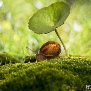 你不是年轻，你只是没有耐心