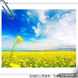 欣赏是一种宽容的心态