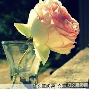 见什么样的人要会说什么样的话