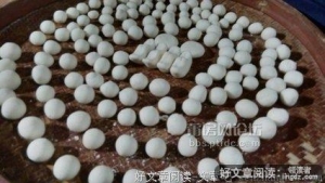 碎碎念二——杂记，骂人的由来