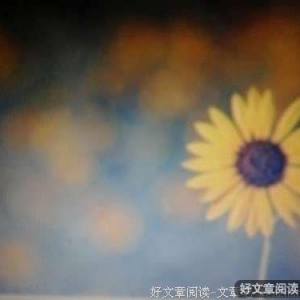 一个鸡蛋引发的极致温暖