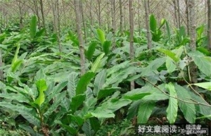 关于乐善好施的名句摘抄