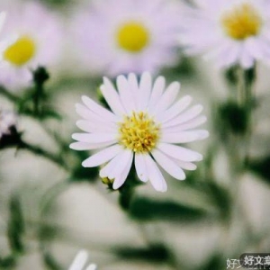 让心归零（写的真好）