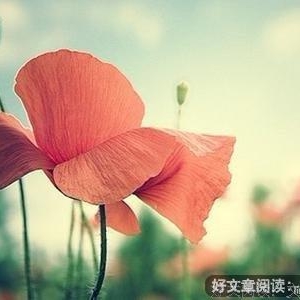 你吃了多少苦，才会尝到多少甜