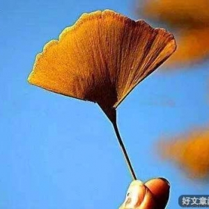 不轻易迁怒别人，是一个人的基本修养