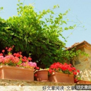 牺牲和枉死的士兵