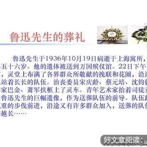 《我的路6》的读后感10篇