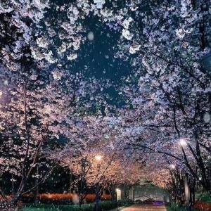 每周休2.5天，你愿意吗