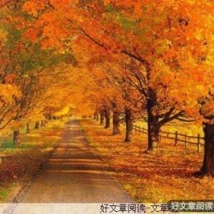 细品秋天，精读男人