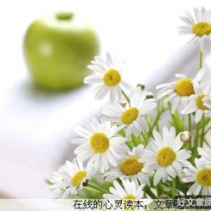 发现生活的乐趣