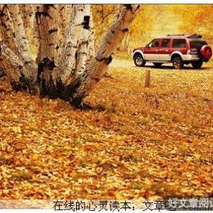 落叶归根