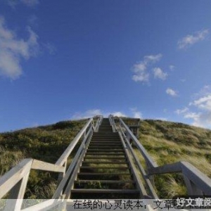 人生的高度