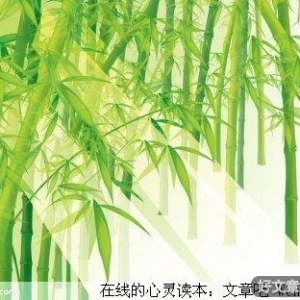 给心灵一个安静的空间