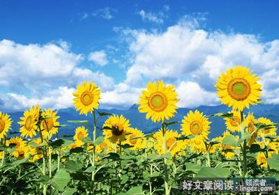 关于哲理的句子