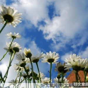抬起头，发现不一样的天空