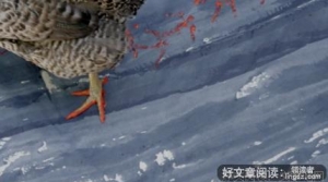 《葛饰北斋：超越巨浪》观后感100字