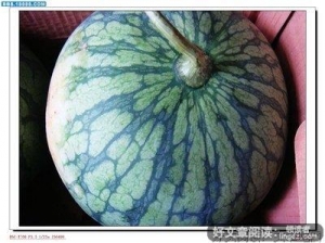 《辣手美人心》影评10篇