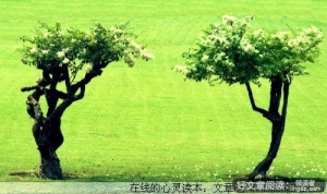 知道这些，你的心境更开阔
