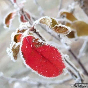 如果你有空，陪我过个冬