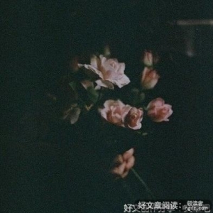寺山修司的句子