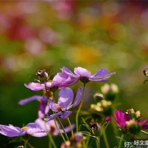 永远不要透支自己（好文）